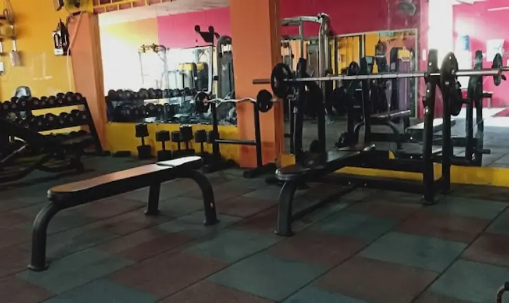 Fitness & Wellness